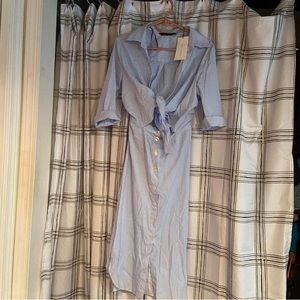 ZARA Pinstripe Blue Dress